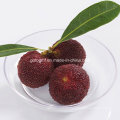 PP/PS Plastic Dish Disposable Saucer Mini Tea-Tray